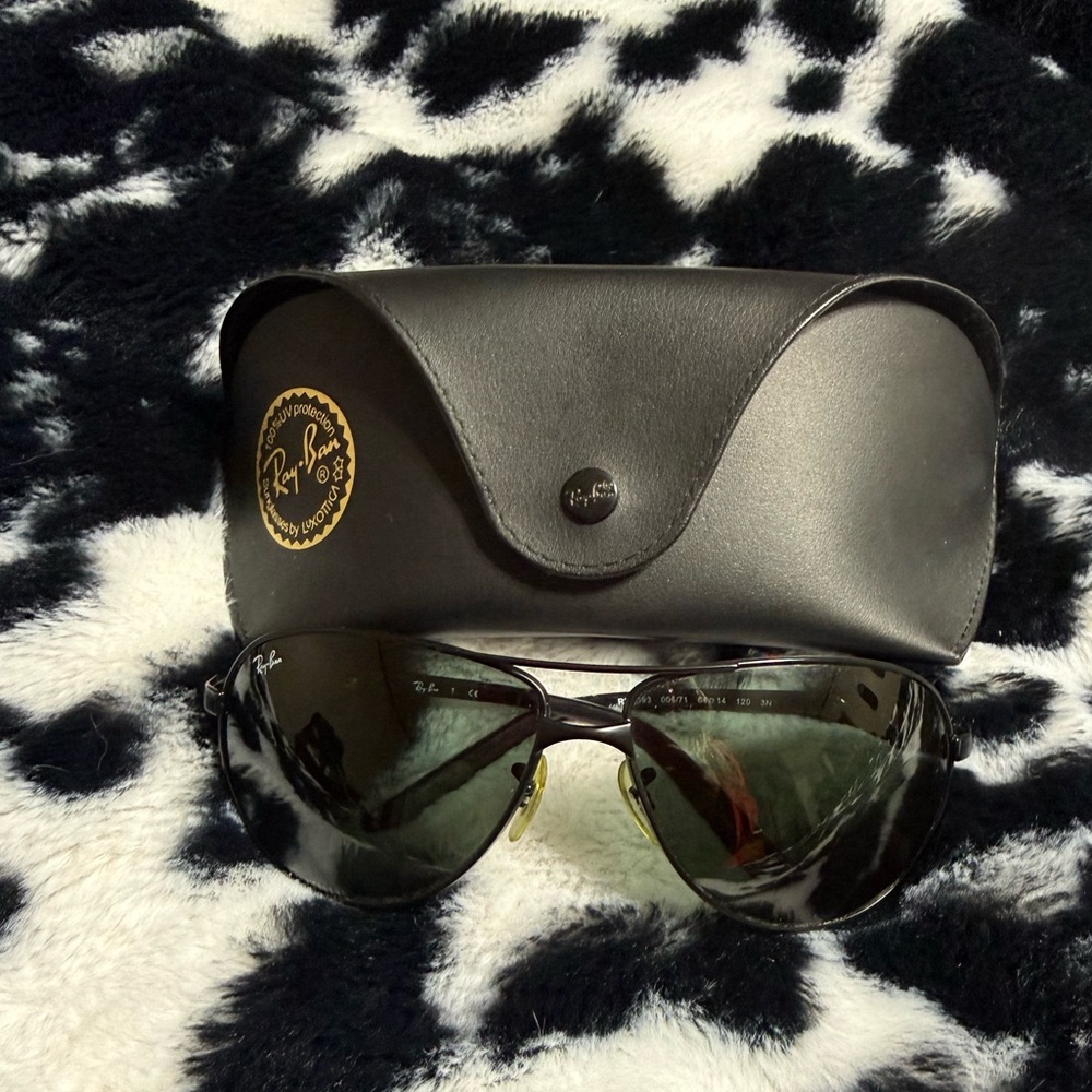 Ray-Ban Black Frame Sunglasses